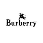 Picture for category Burberry